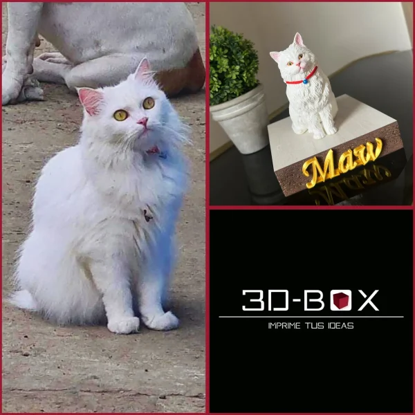 491899932_18267583534286952_8292057069855864959_n Mascota 3D