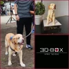 543669400_18284579353286952_562403759381846047_n Mascota 3D