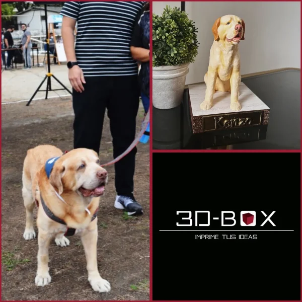 543669400_18284579353286952_562403759381846047_n Mascota 3D