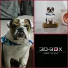 Mascota 3D