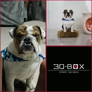 Mascota 3D