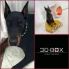657745422_18310982938286952_4574402351250034166_n Mascota 3D
