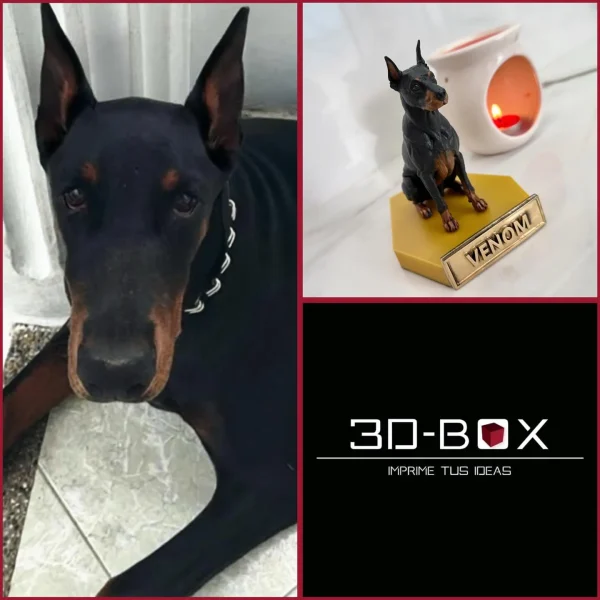 657745422_18310982938286952_4574402351250034166_n Mascota 3D