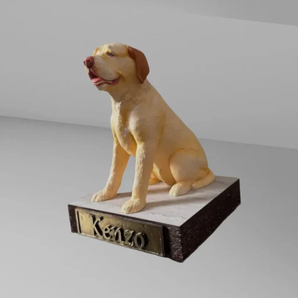 mascota 1 fondo Mascota 3D